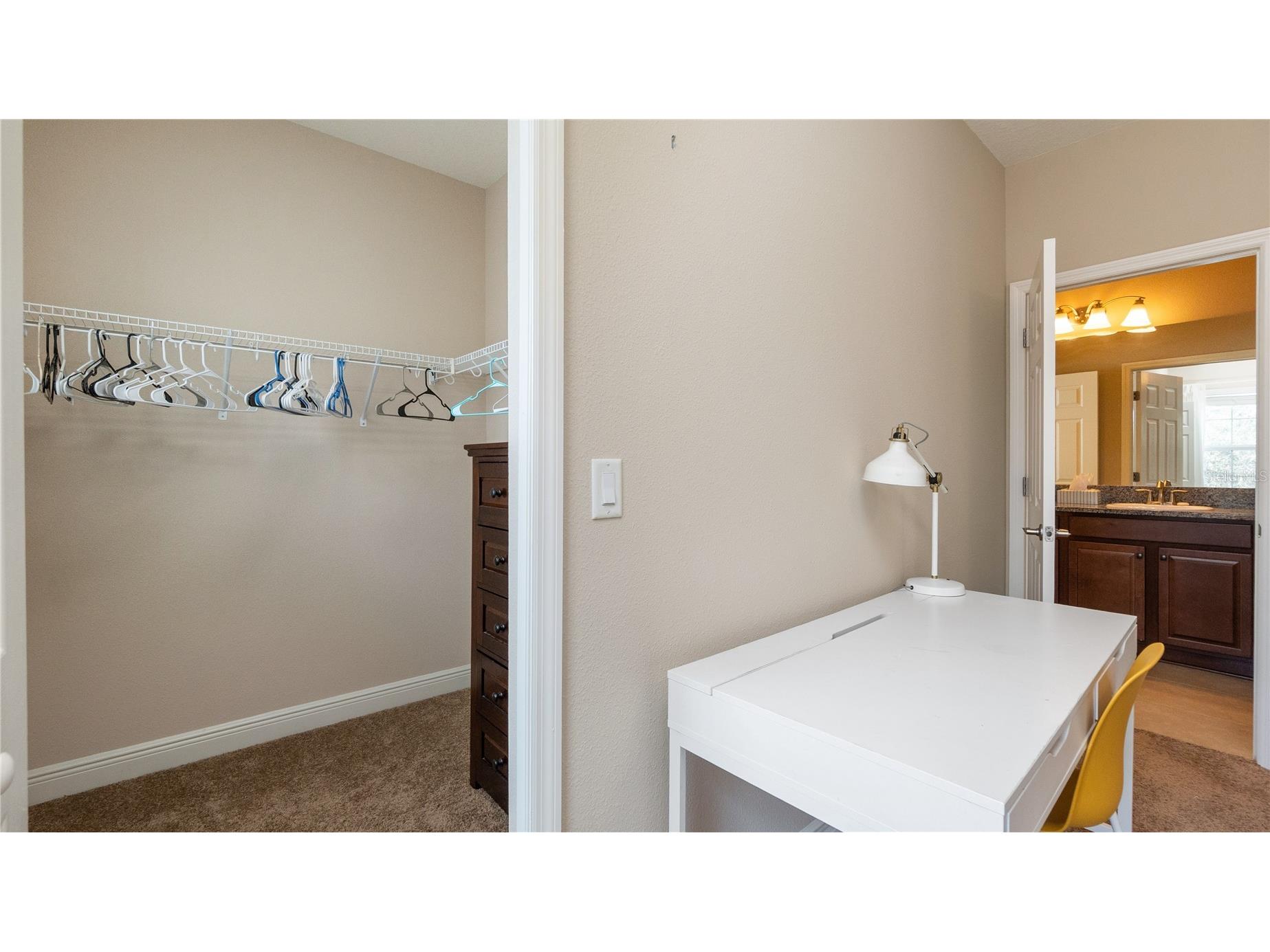 11603 Grange Stead Lane Riverview FL 33569 TB8476129 image46