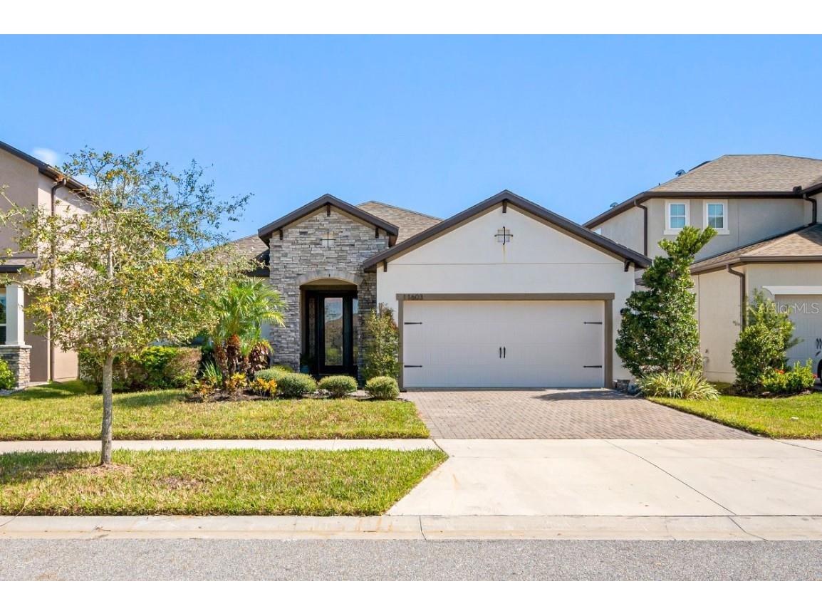 11603 Sweet Tangerine Lane Tampa FL 33626 U8220210 image1