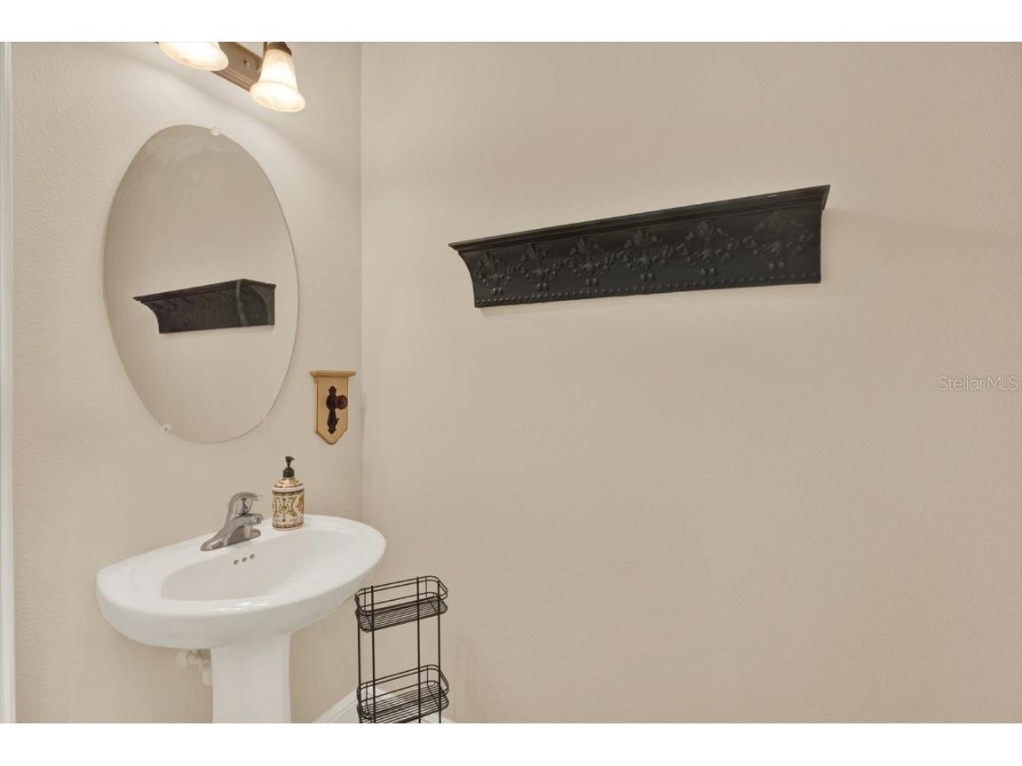 11604 Crowned Sparrow Lane Tampa FL 33626 TB8425326 image17