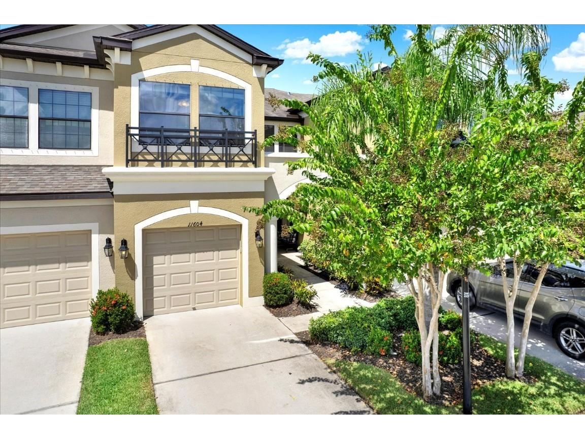 11604 Crowned Sparrow Lane Tampa FL 33626 TB8425326 image2