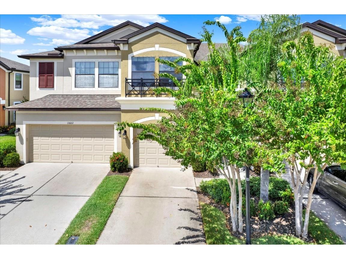 11604 Crowned Sparrow Lane Tampa FL 33626 TB8425326 image20