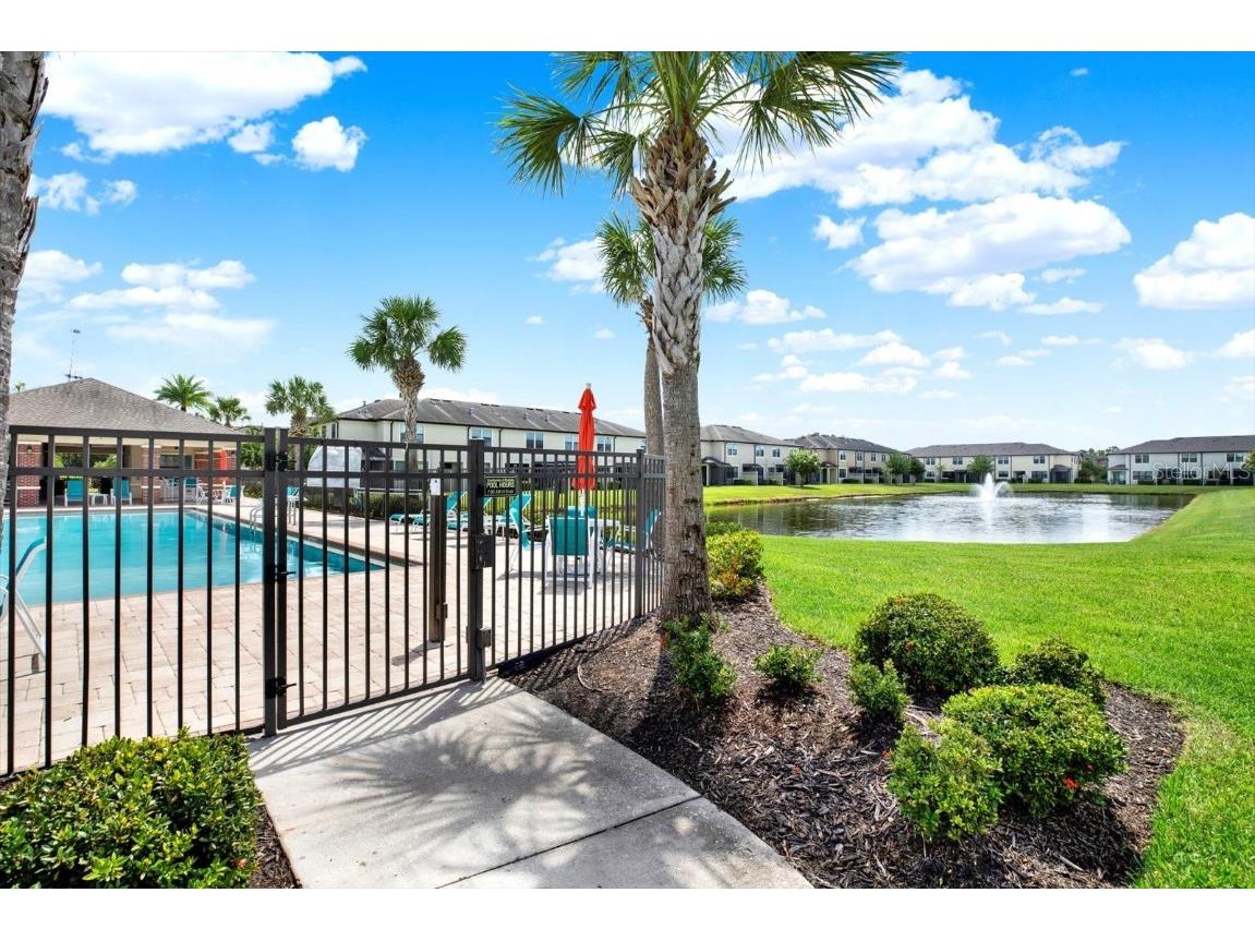 11604 Crowned Sparrow Lane Tampa FL 33626 TB8425326 image21