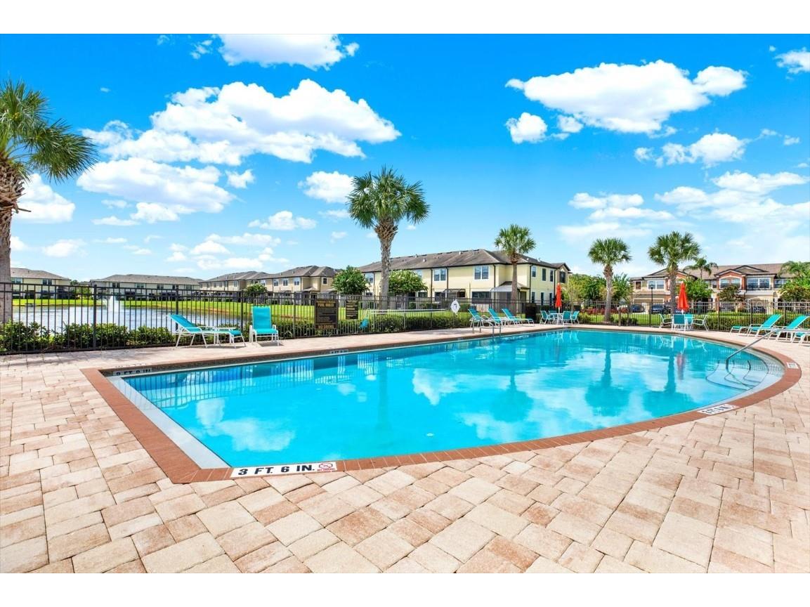 11604 Crowned Sparrow Lane Tampa FL 33626 TB8425326 image22