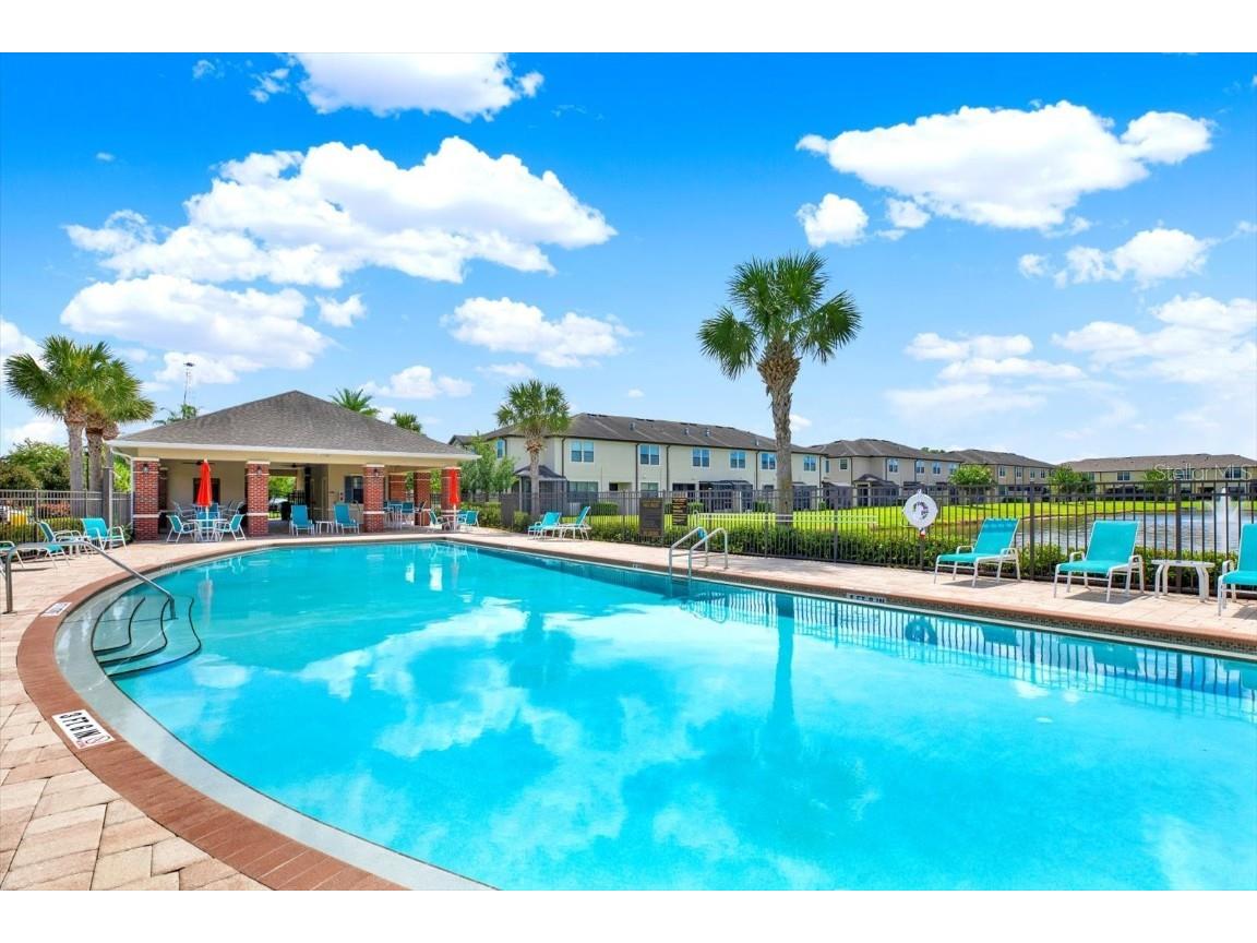 11604 Crowned Sparrow Lane Tampa FL 33626 TB8425326 image23