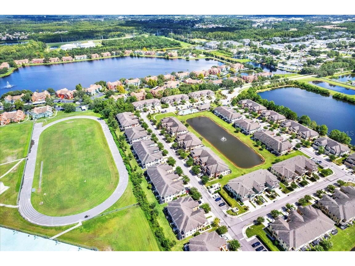 11604 Crowned Sparrow Lane Tampa FL 33626 TB8425326 image28