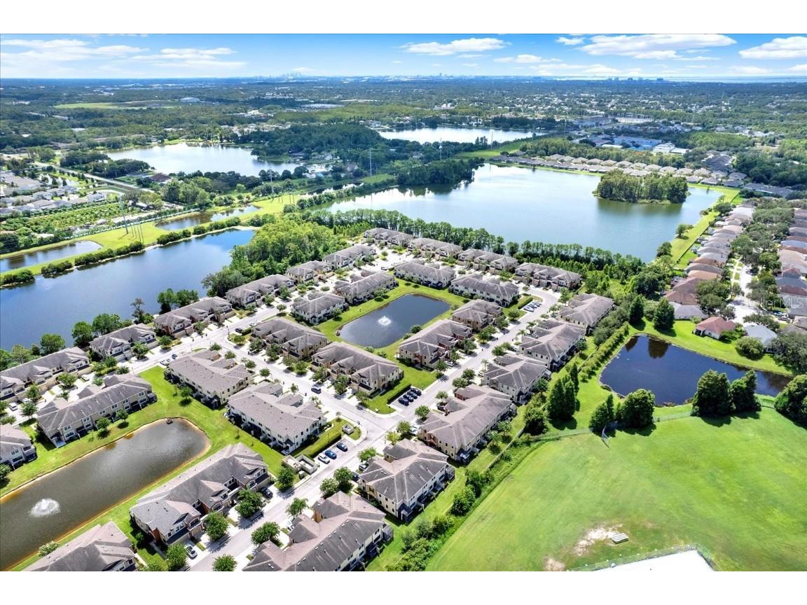 11604 Crowned Sparrow Lane Tampa FL 33626 TB8425326 image29