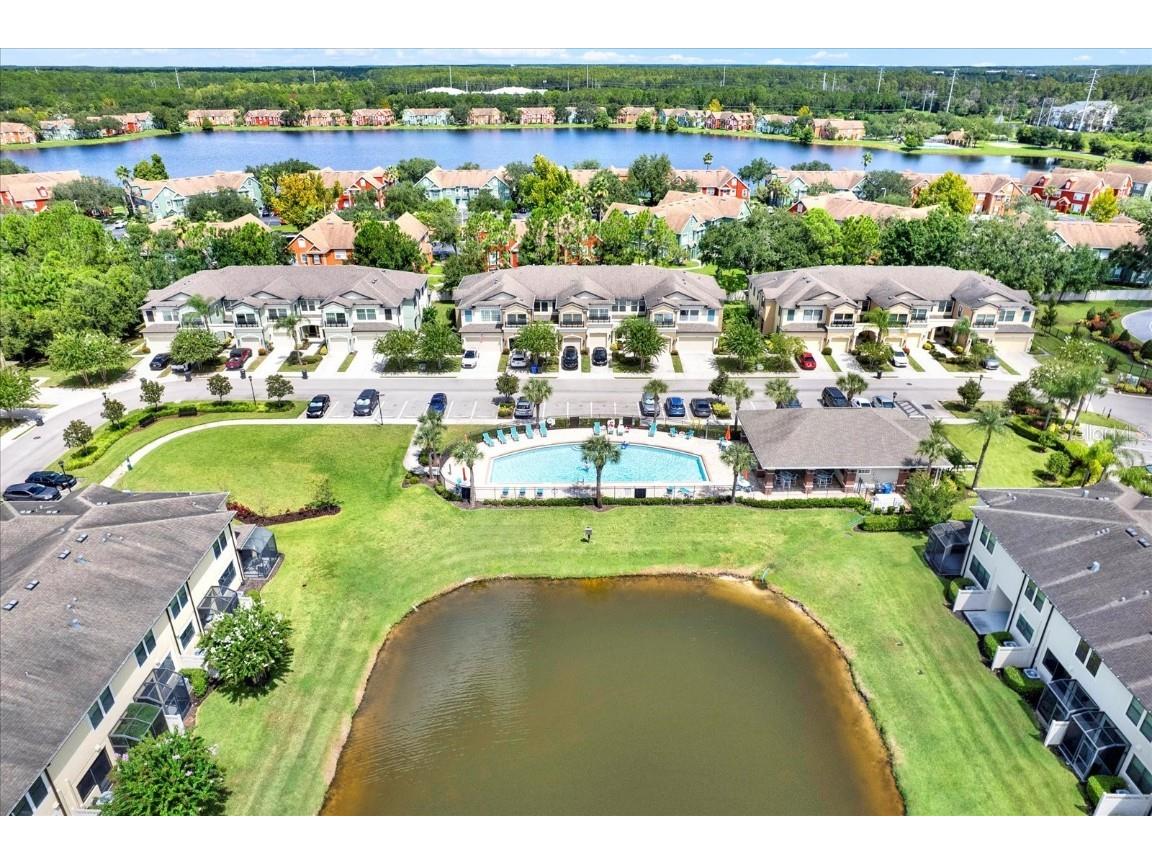 11604 Crowned Sparrow Lane Tampa FL 33626 TB8425326 image30