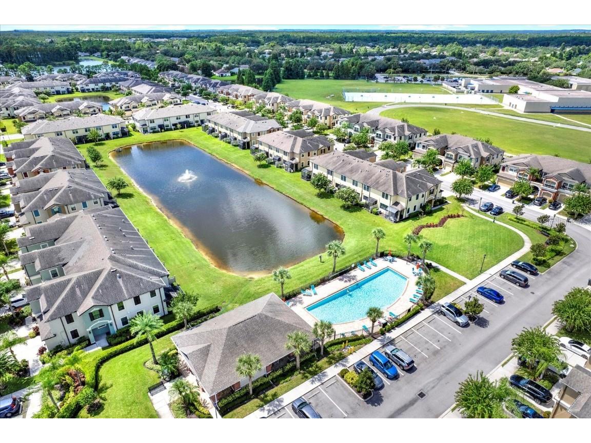 11604 Crowned Sparrow Lane Tampa FL 33626 TB8425326 image31