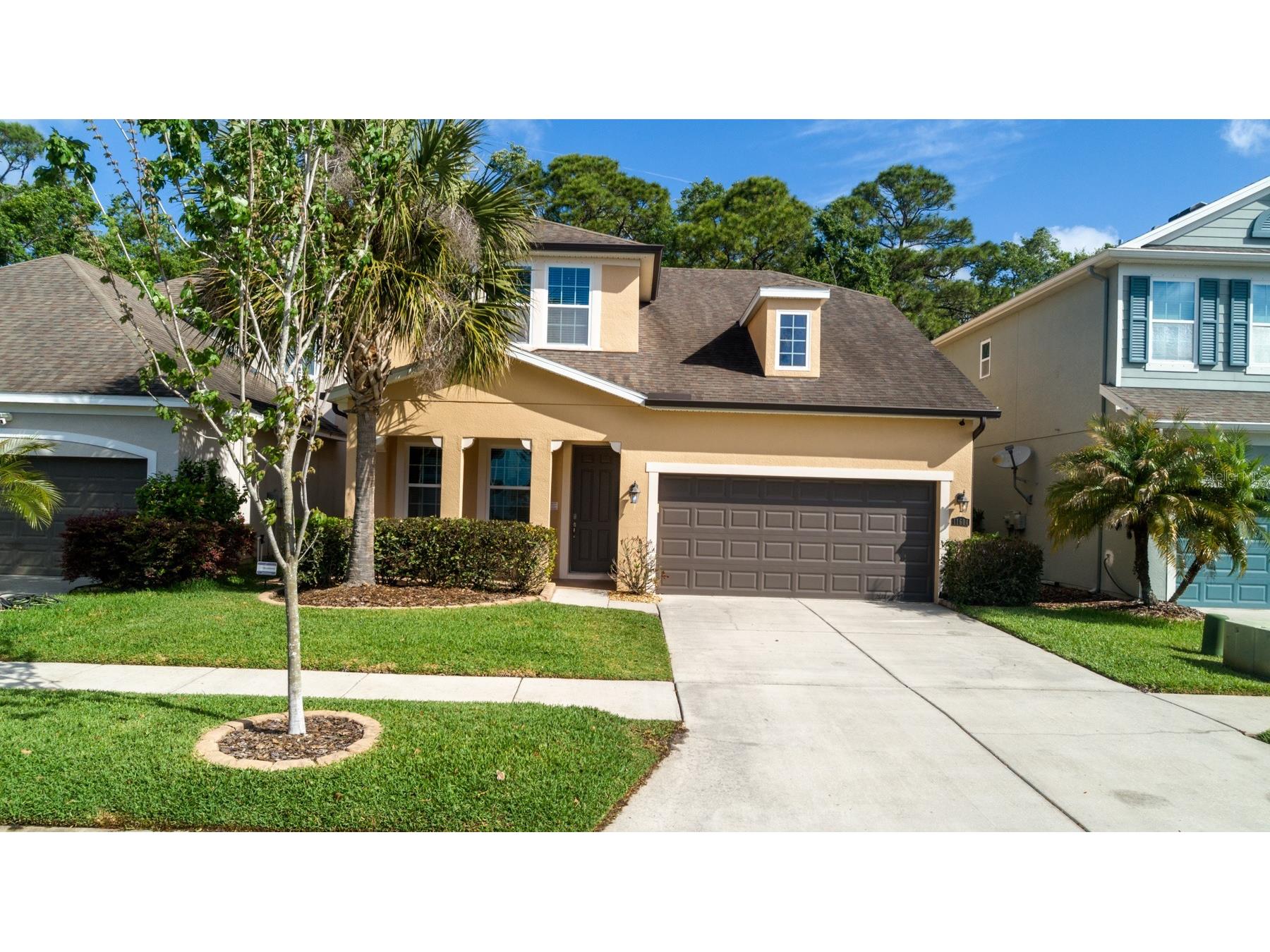 11604 Quiet Forest Drive Tampa FL 33635 TB8494495 image4