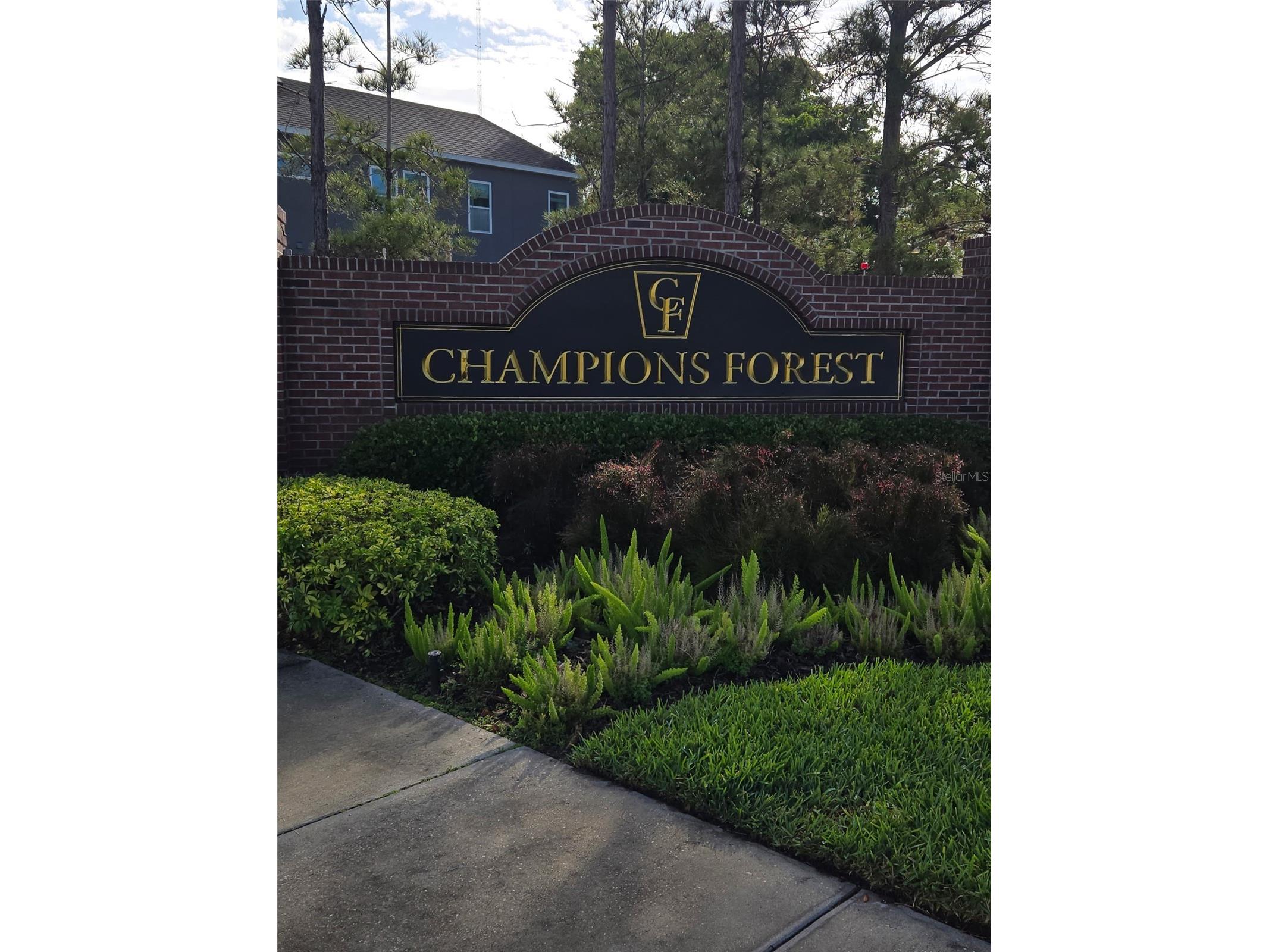 11604 Quiet Forest Drive Tampa FL 33635 TB8494495 image46
