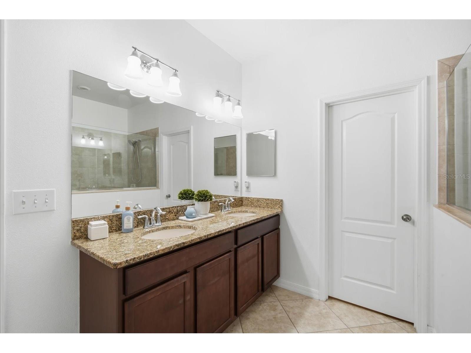 11604 Sunburst Marble Road Riverview FL 33579 TB8519065 image19