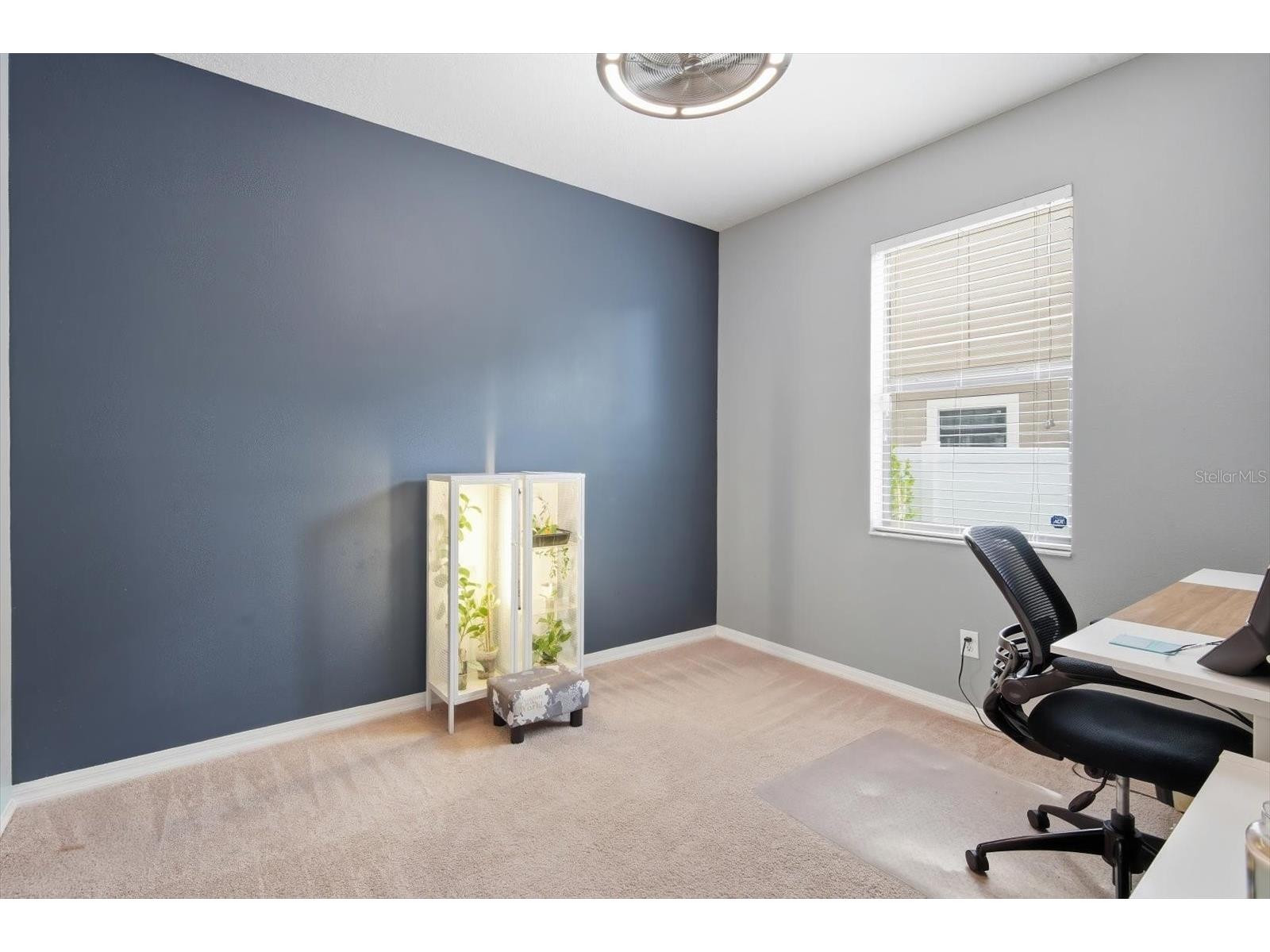 11604 Sunburst Marble Road Riverview FL 33579 TB8519065 image25