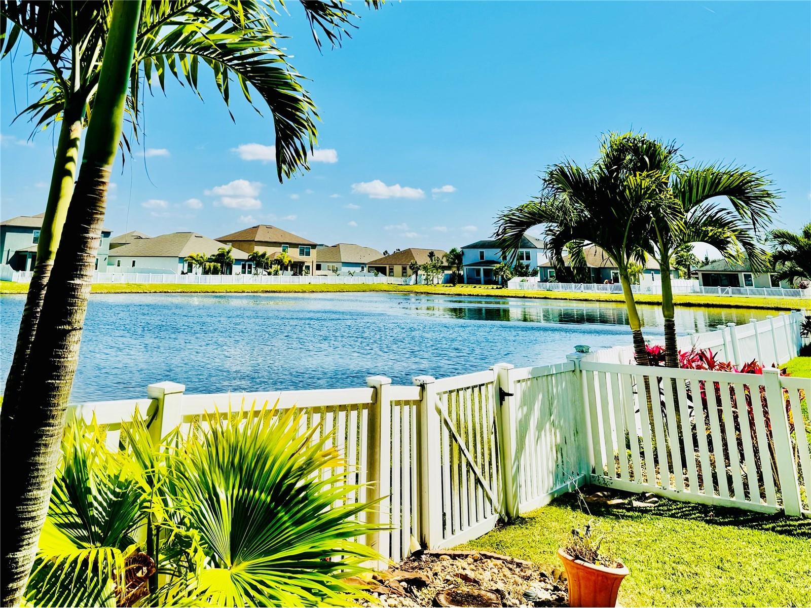 11604 Sunburst Marble Road Riverview FL 33579 TB8519065 image32