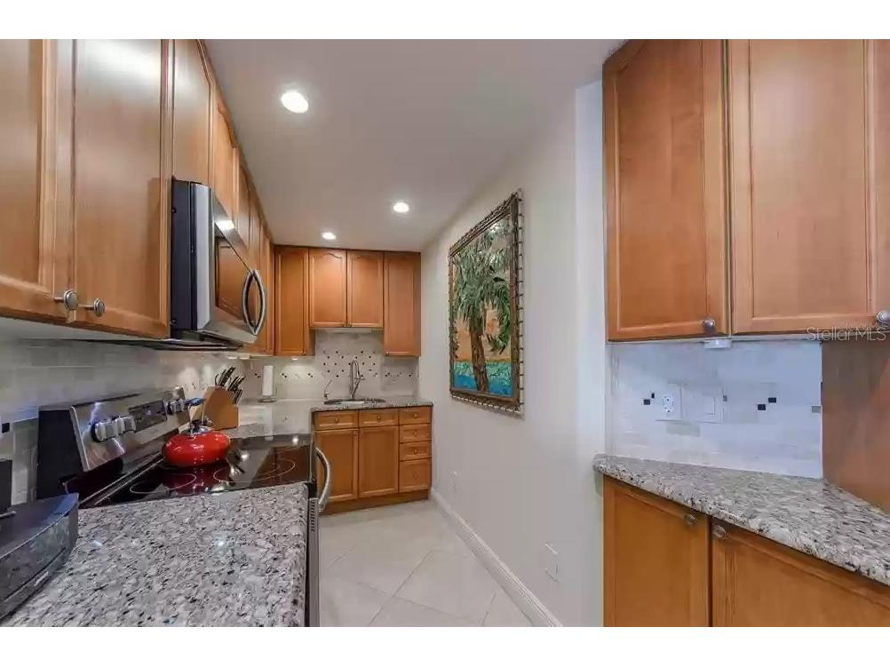 11605 3rd Street E #305 Treasure Island FL 33706 - ICW-BOCA CIEGA BAY TB8455217 image15