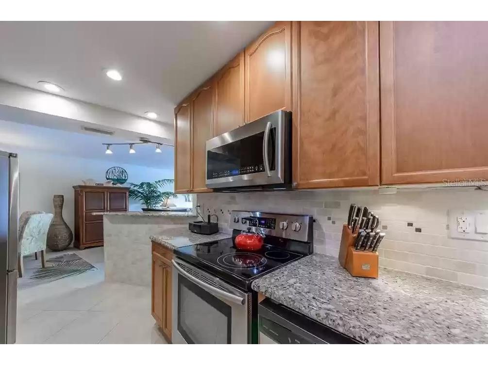 11605 3rd Street E #305 Treasure Island FL 33706 - ICW-BOCA CIEGA BAY U8177921 image14