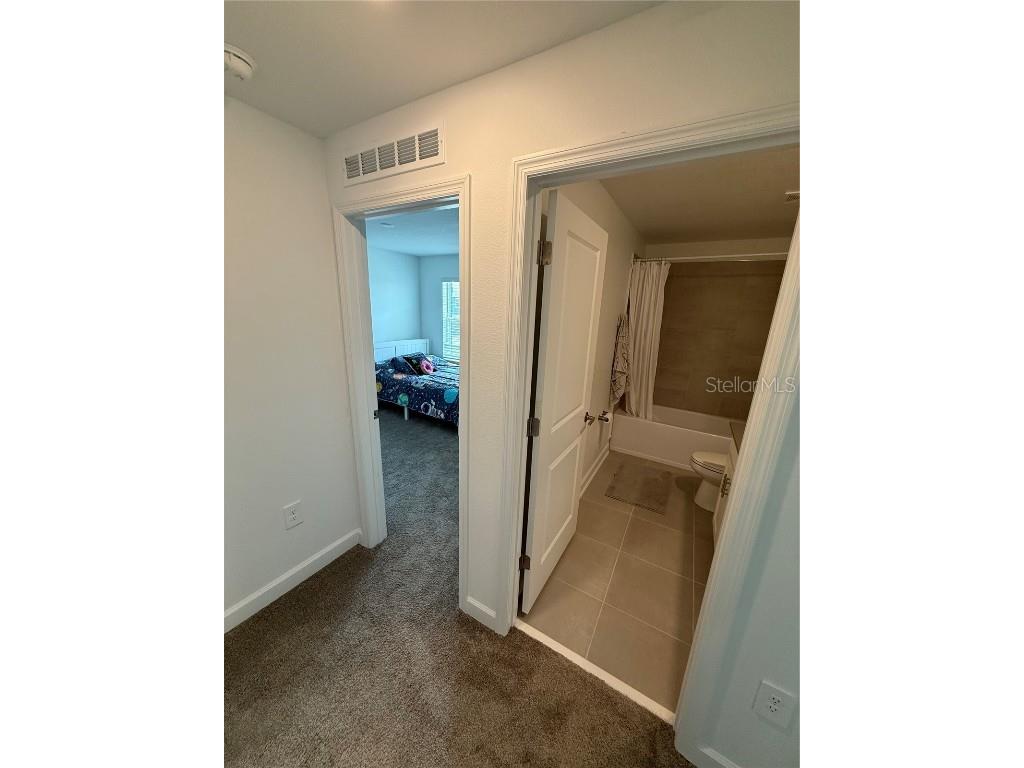 11606 Boldface Drive Orlando FL 32832 S5132015 image35