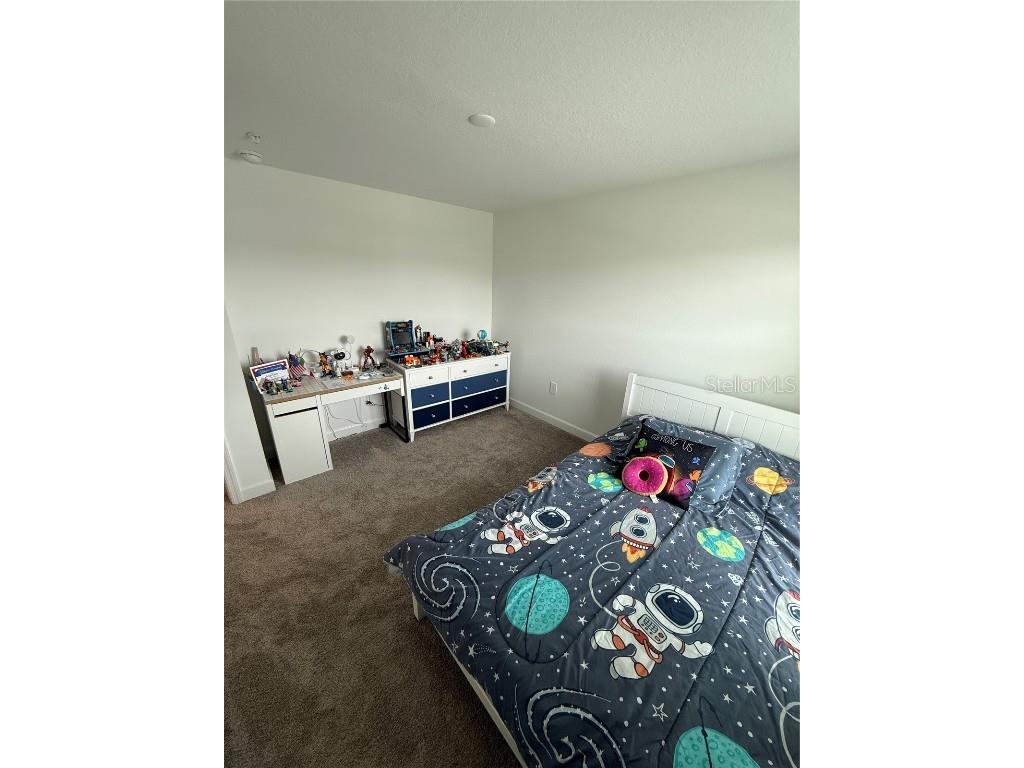 11606 Boldface Drive Orlando FL 32832 S5132015 image38