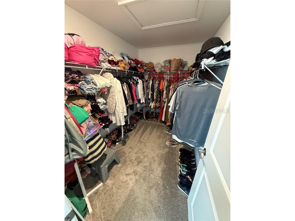 11606 Boldface Drive Orlando FL 32832 S5132015 image47