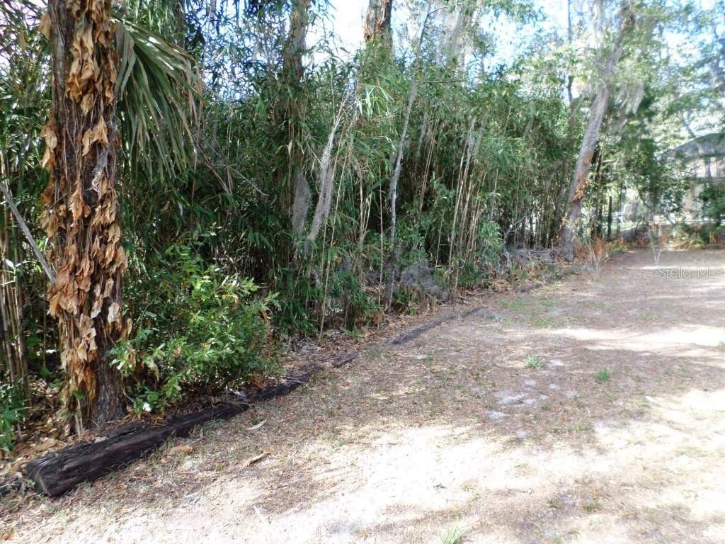 11606 Kennesaw Road Dunnellon FL 34431 OM719131 image30