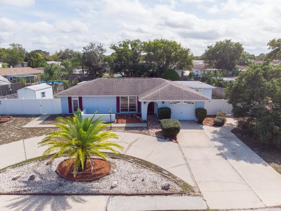 11606 Newell Drive Port Richey FL 34668 T3480139 image1