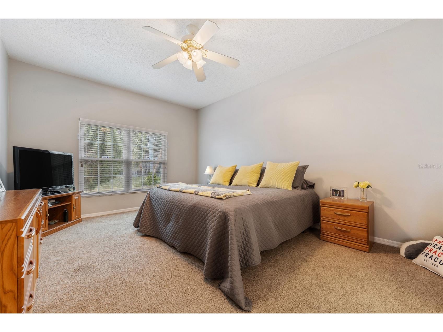 11606 Peach Grove Lane Orlando FL 32821 O6376400 image12