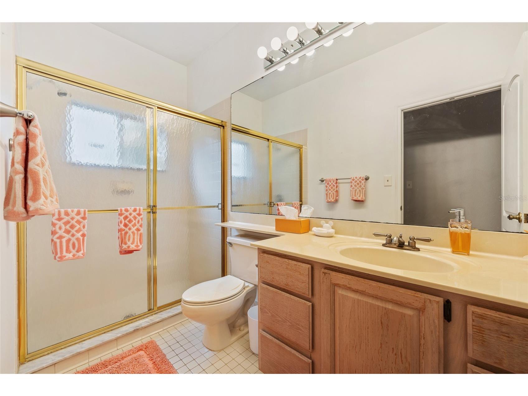 11606 Peach Grove Lane Orlando FL 32821 O6376400 image19