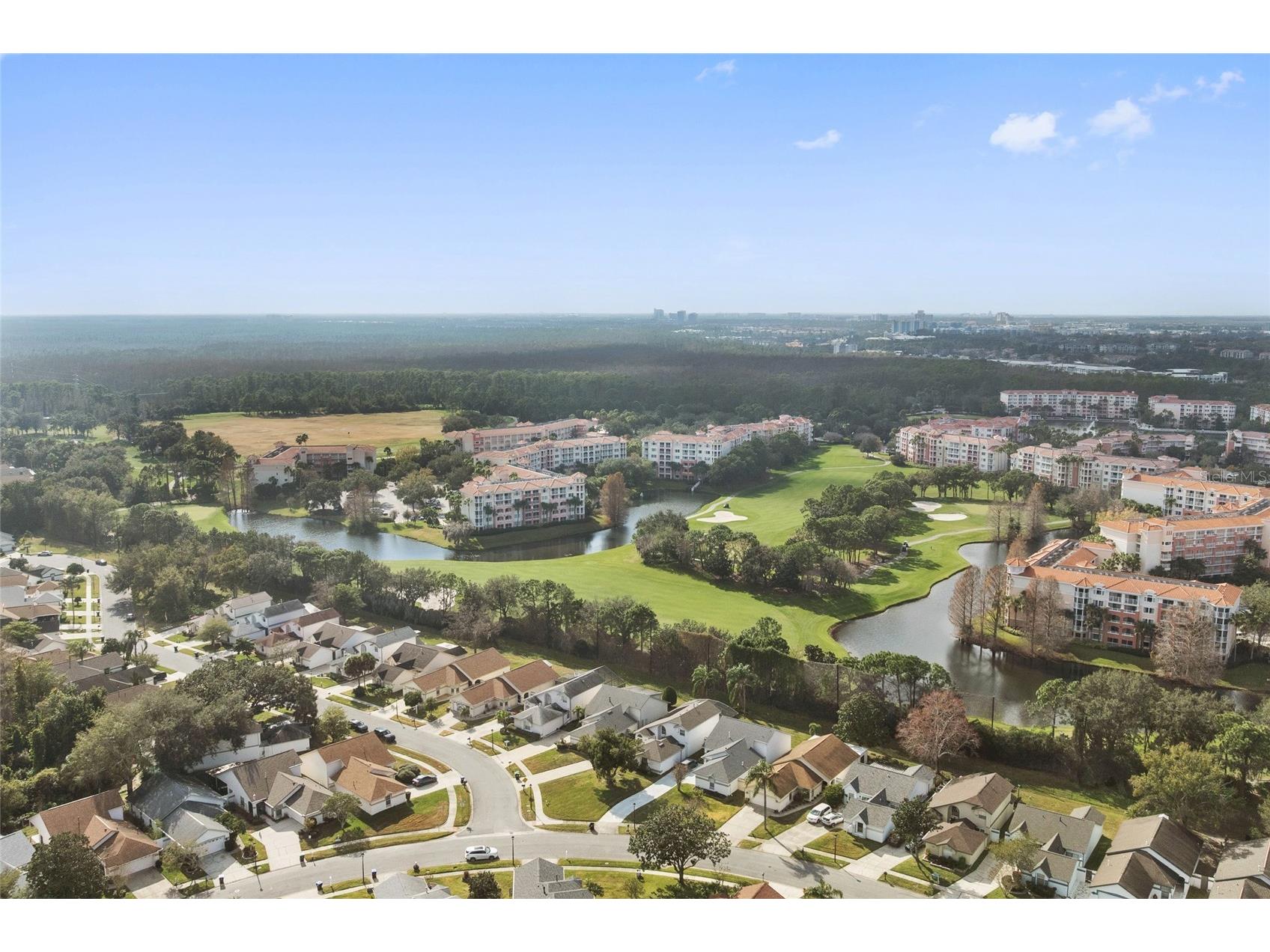 11606 Peach Grove Lane Orlando FL 32821 O6376400 image27