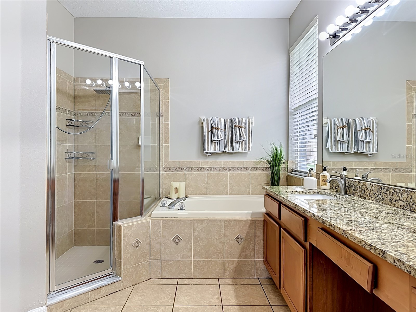 11607 Grove Arcade Drive Riverview FL 33569 TB8524541 image9