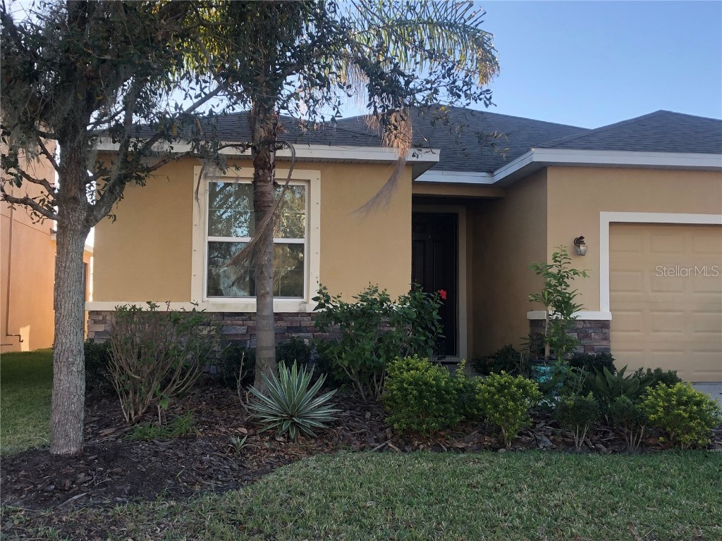 11607 Storywood Drive Riverview FL 33578 T3444978 image1