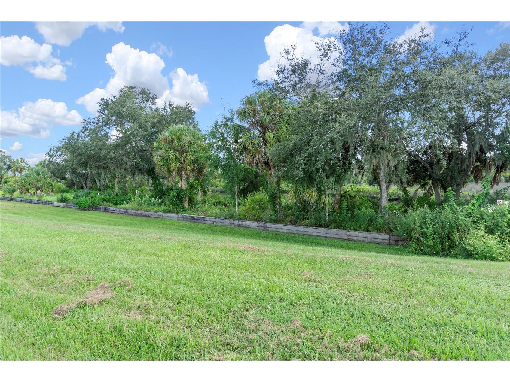 11609 Bayou Cove Parrish FL 34219 TB8487390 image21
