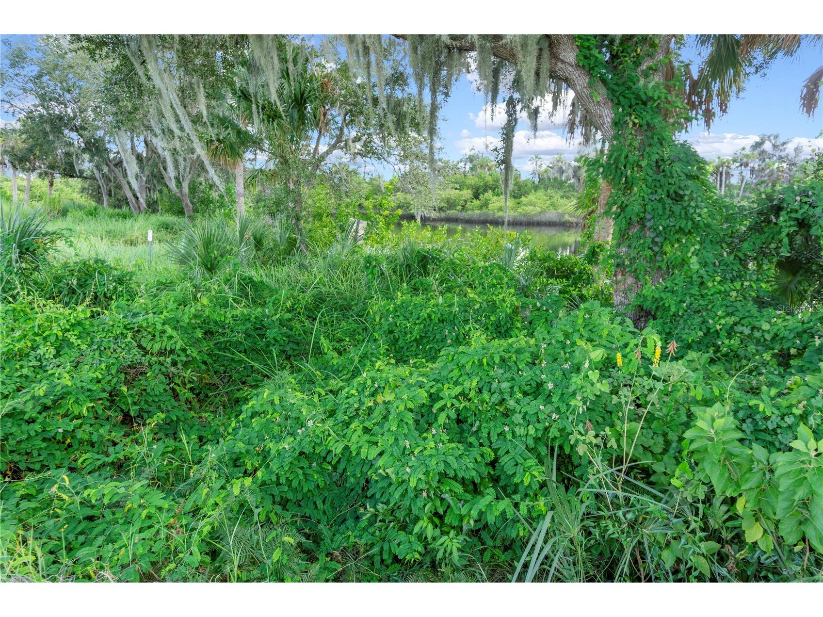 11609 Bayou Cove Parrish FL 34219 TB8487390 image25