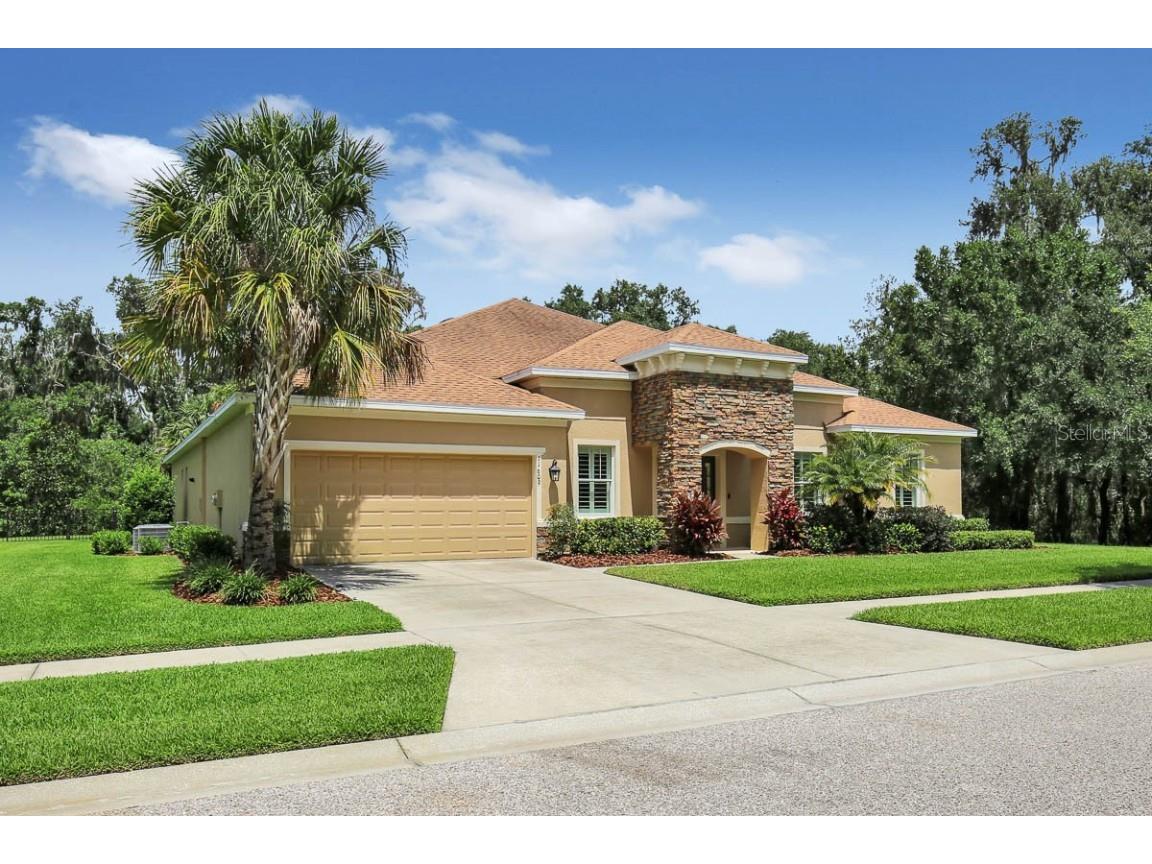 11609 Bromley Court Lithia FL 33547 T3450089 image1