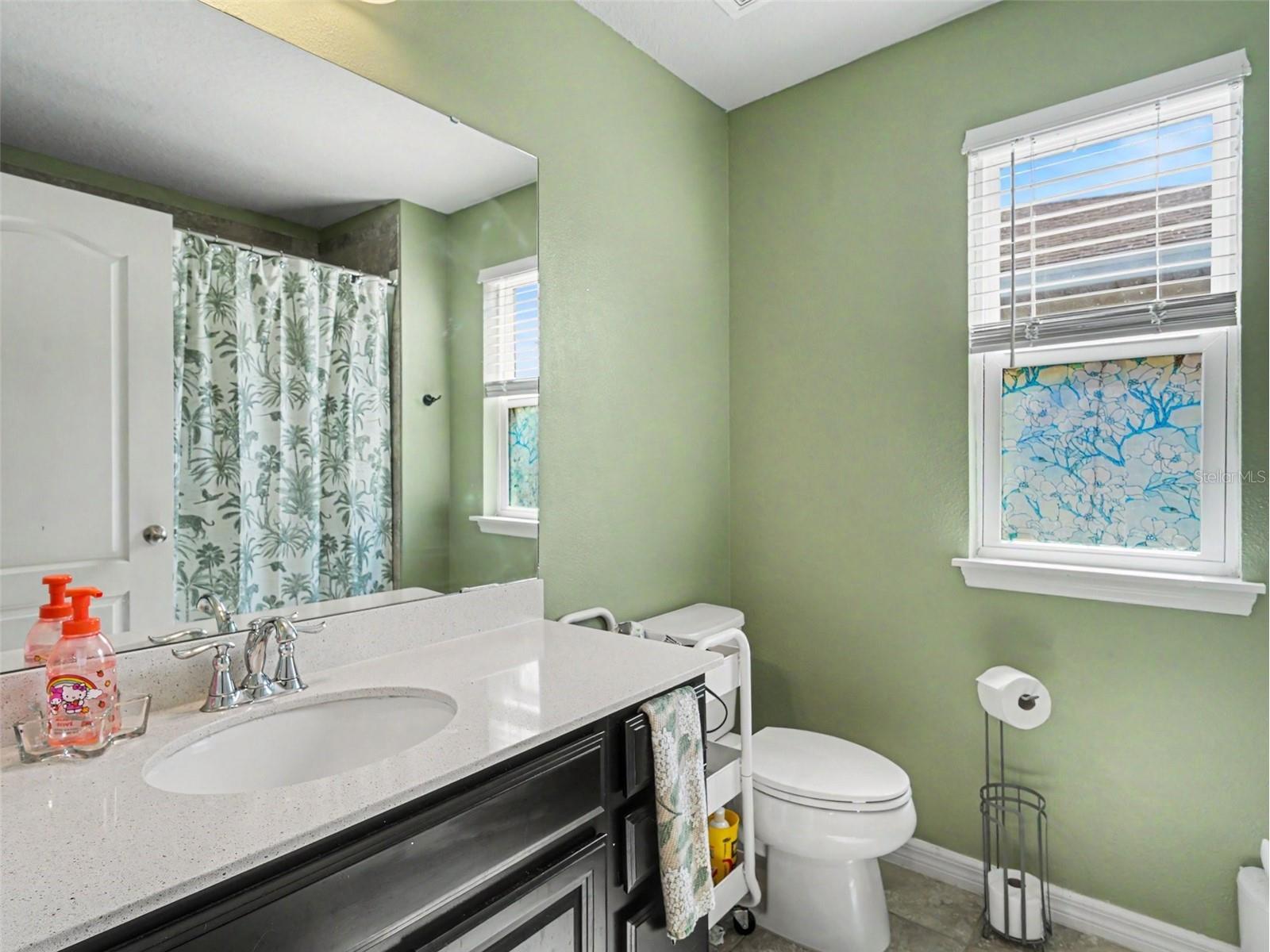 11609 Fringetree Court Riverview FL 33579 TB8510558 image19