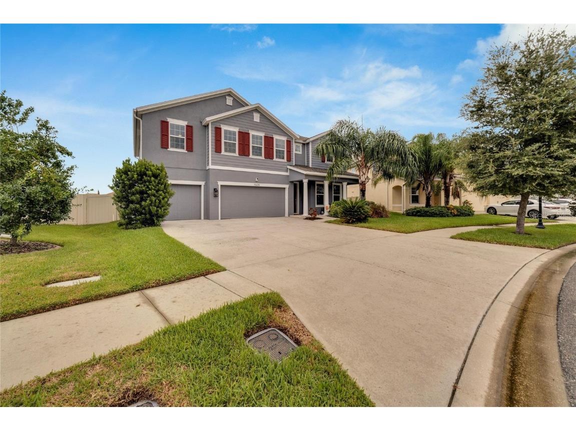 11609 Tetrafin Drive Riverview FL 33579 T3550506 image1