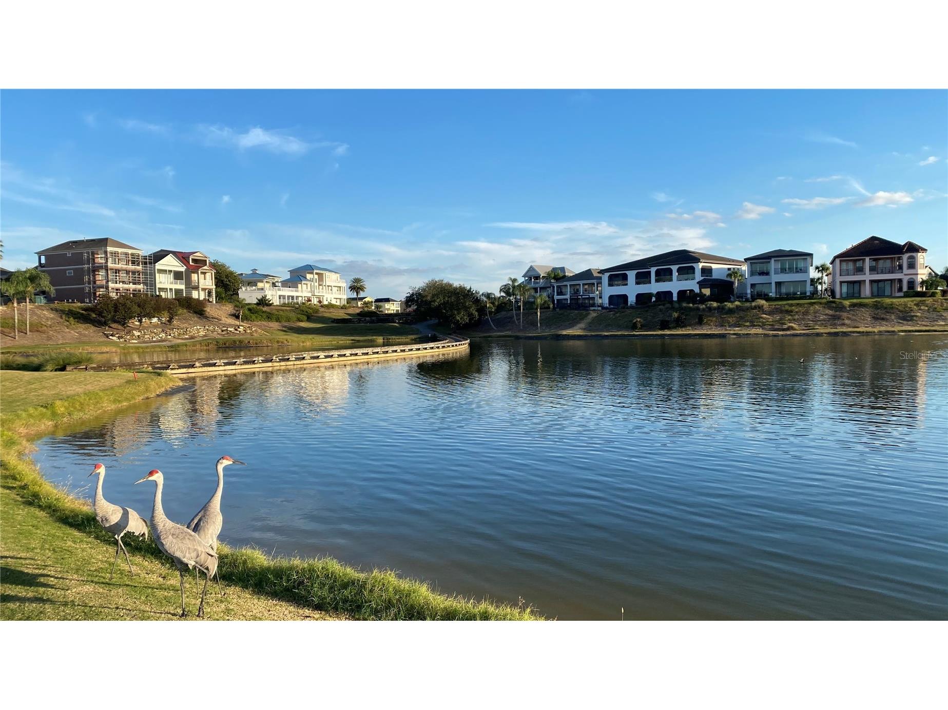 1161 Grand Traverse Parkway Reunion FL 34747 S5143361 image7