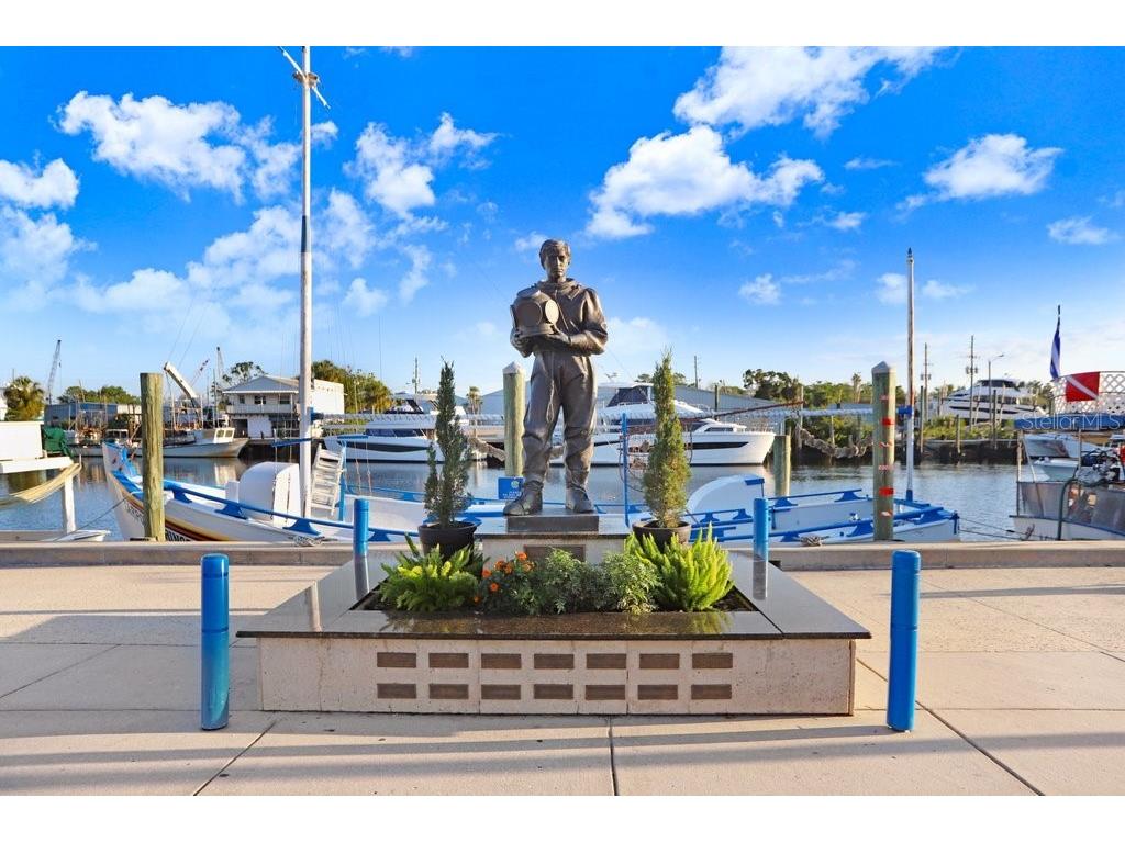 1161 Marina Drive Tarpon Springs FL 34689 TB8462954 image52