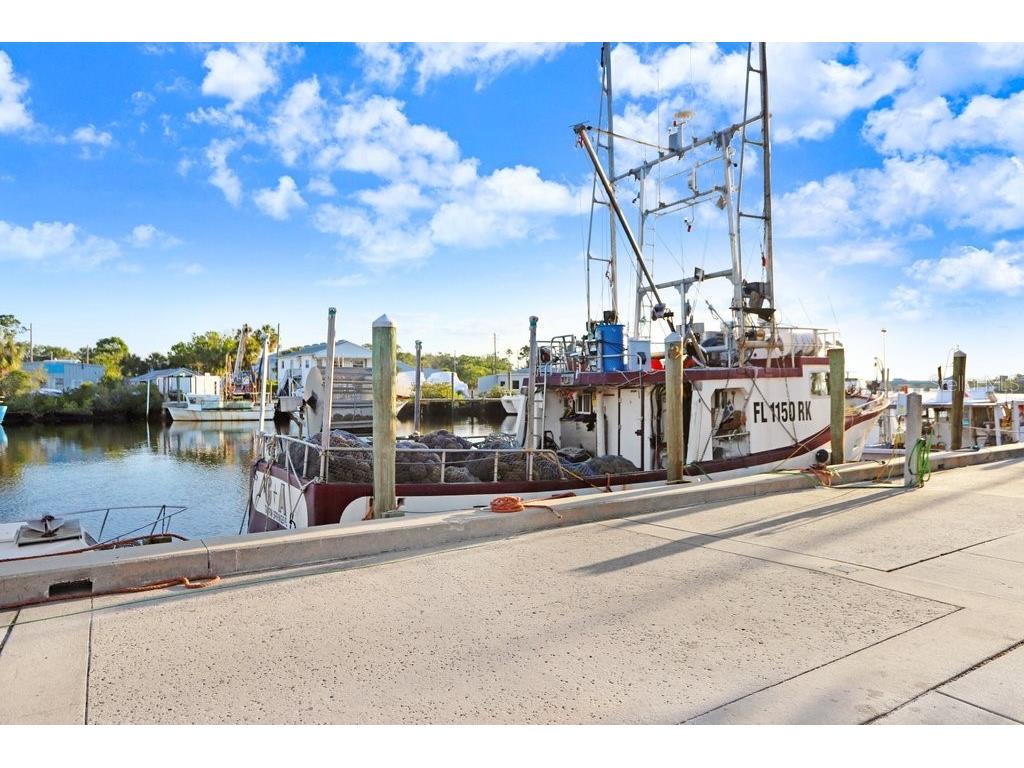 1161 Marina Drive Tarpon Springs FL 34689 TB8462954 image54