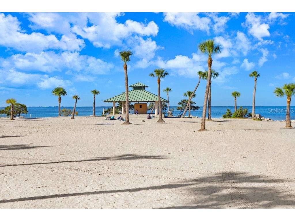 1161 Marina Drive Tarpon Springs FL 34689 TB8462954 image58
