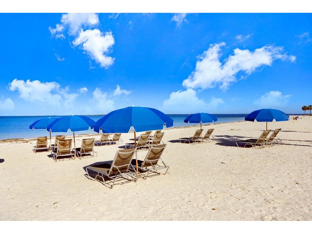 1161 Marina Drive Tarpon Springs FL 34689 TB8462954 image60