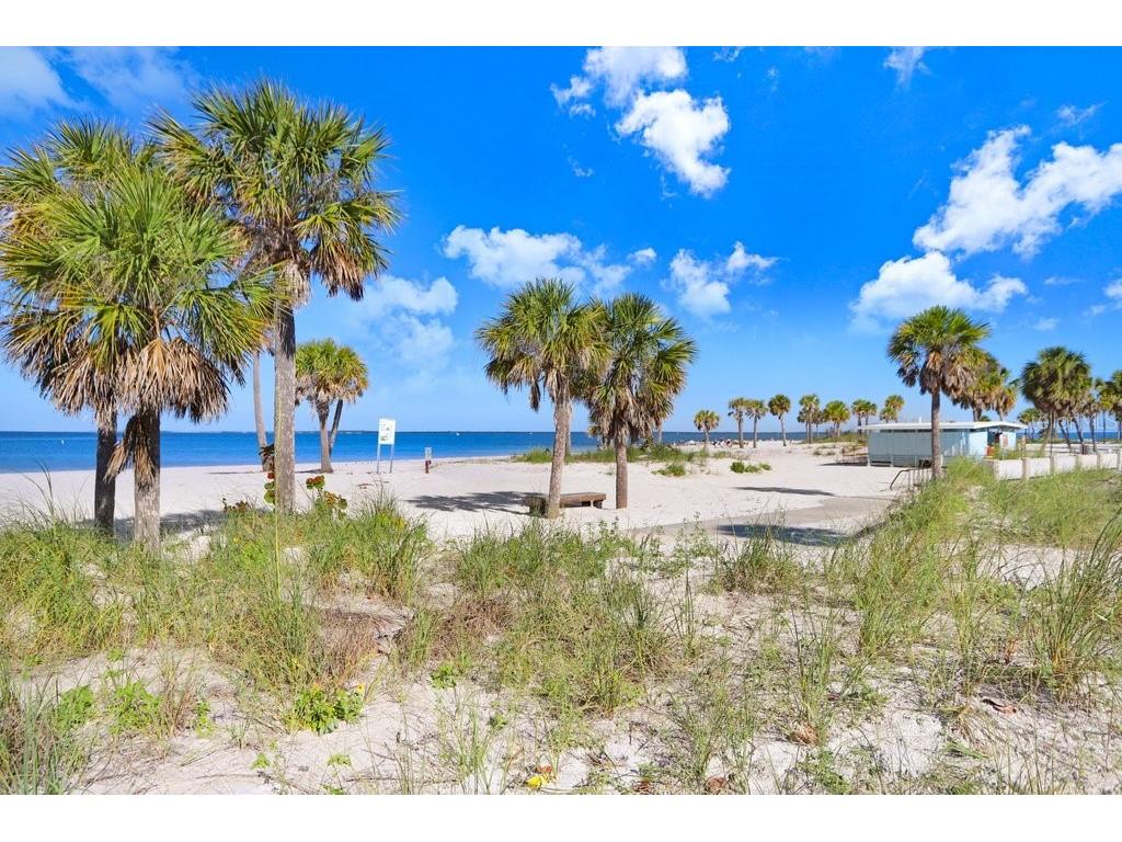 1161 Marina Drive Tarpon Springs FL 34689 TB8462954 image61