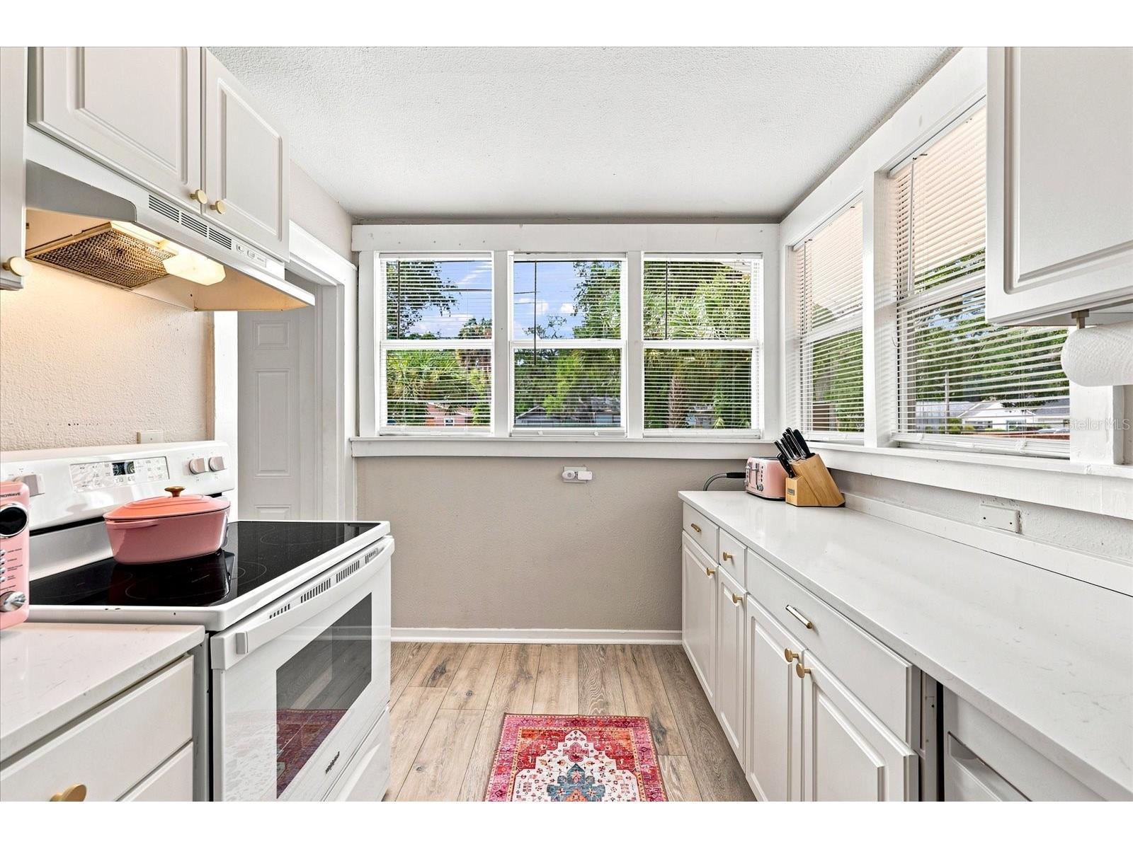1161 Newton Avenue S Saint Petersburg FL 33705 TB8529431 image13