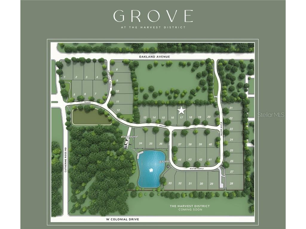 1161 Prado Lane Oakland FL 34787 O6268767 image9