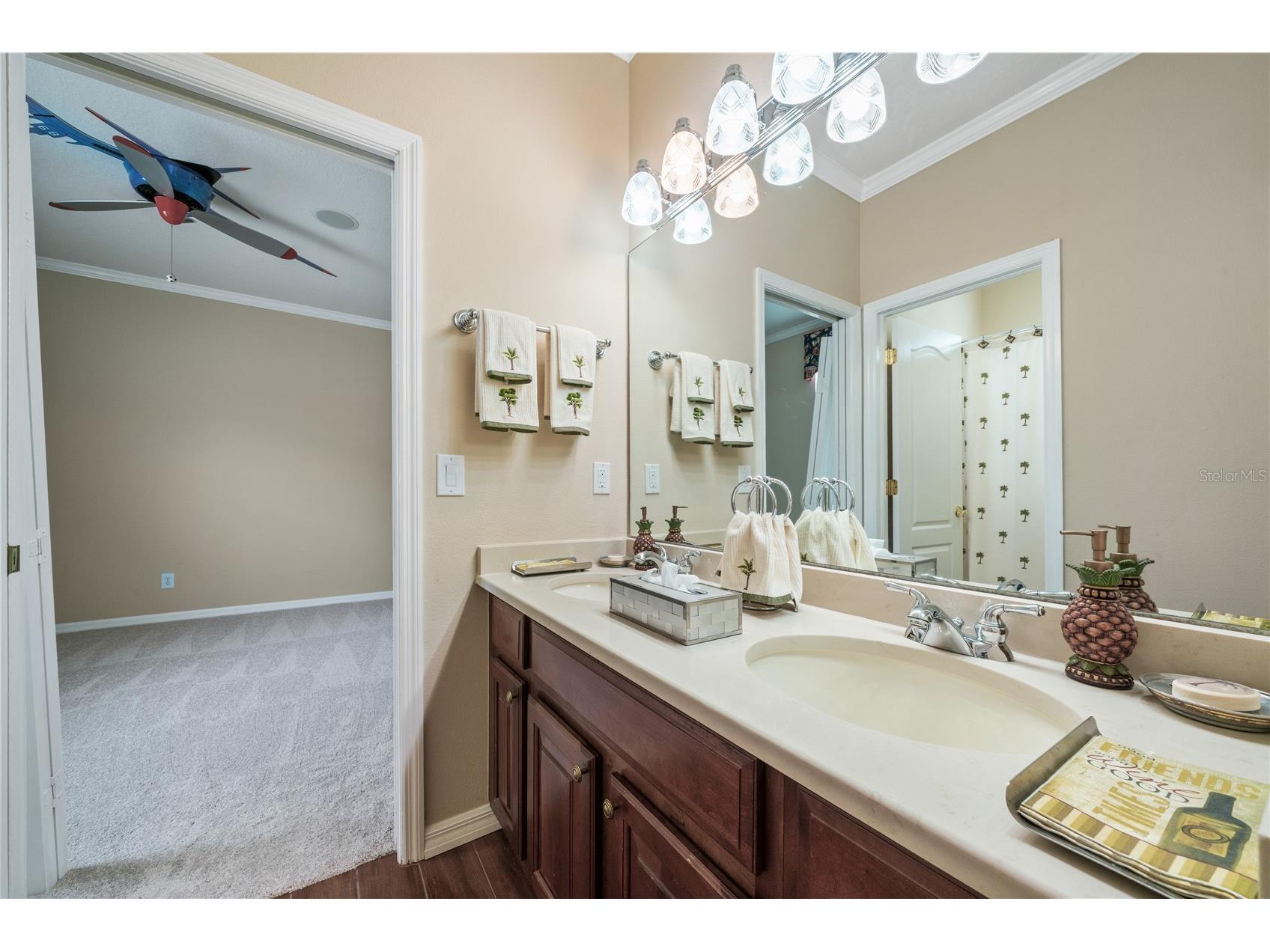 11610 Grove Arcade Drive Riverview FL 33569 TB8460458 image16