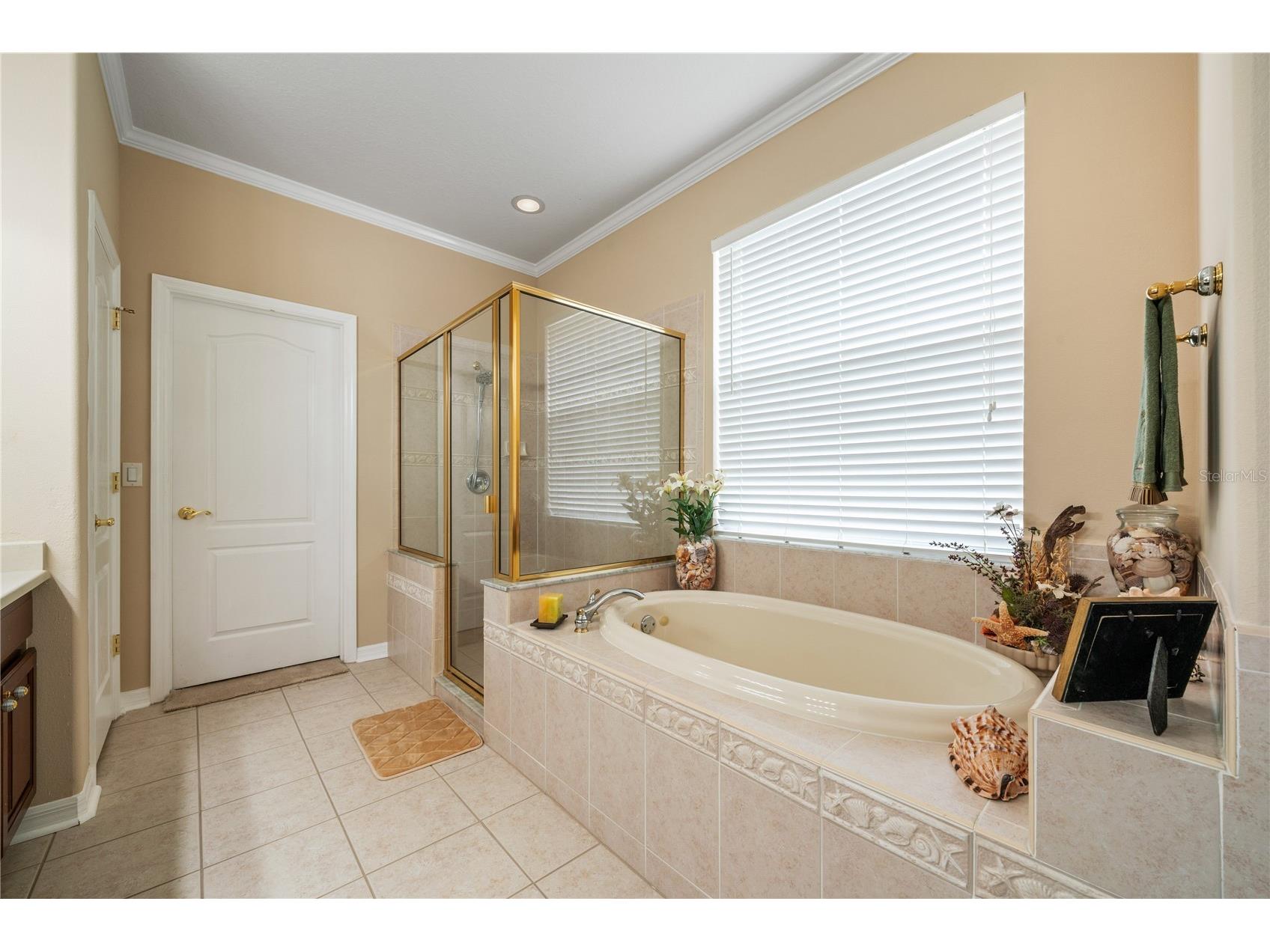 11610 Grove Arcade Drive Riverview FL 33569 TB8460458 image25