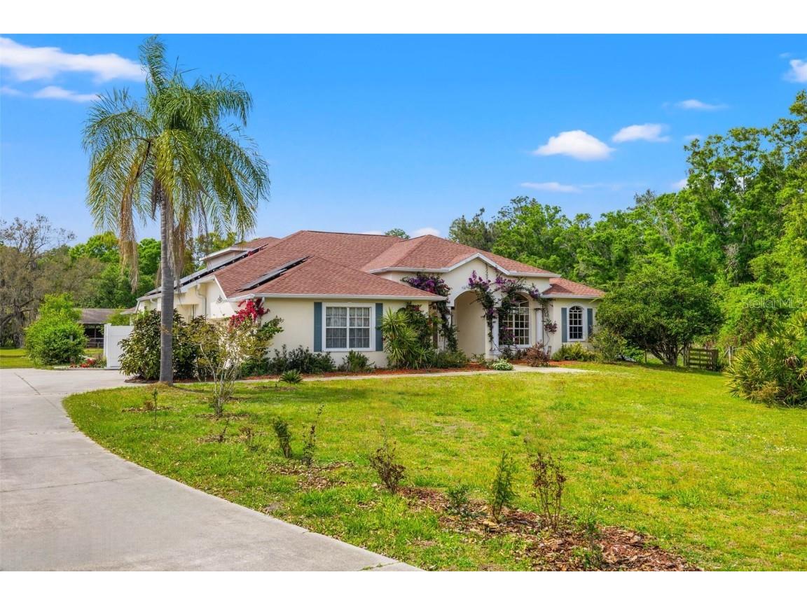 11611 Golden Valley Drive New Port Richey FL 34654 T3515911 image1