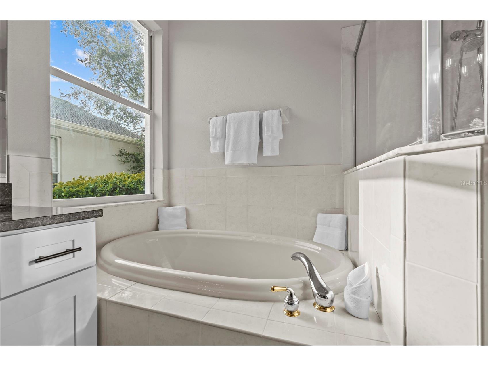 11611 Jordans Landing Court Riverview FL 33569 TB8521653 image28