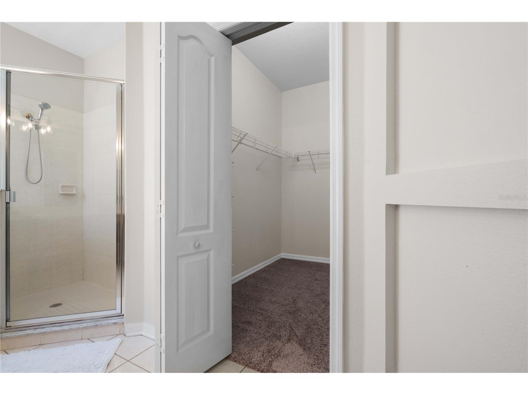 11611 Jordans Landing Court Riverview FL 33569 TB8521653 image49