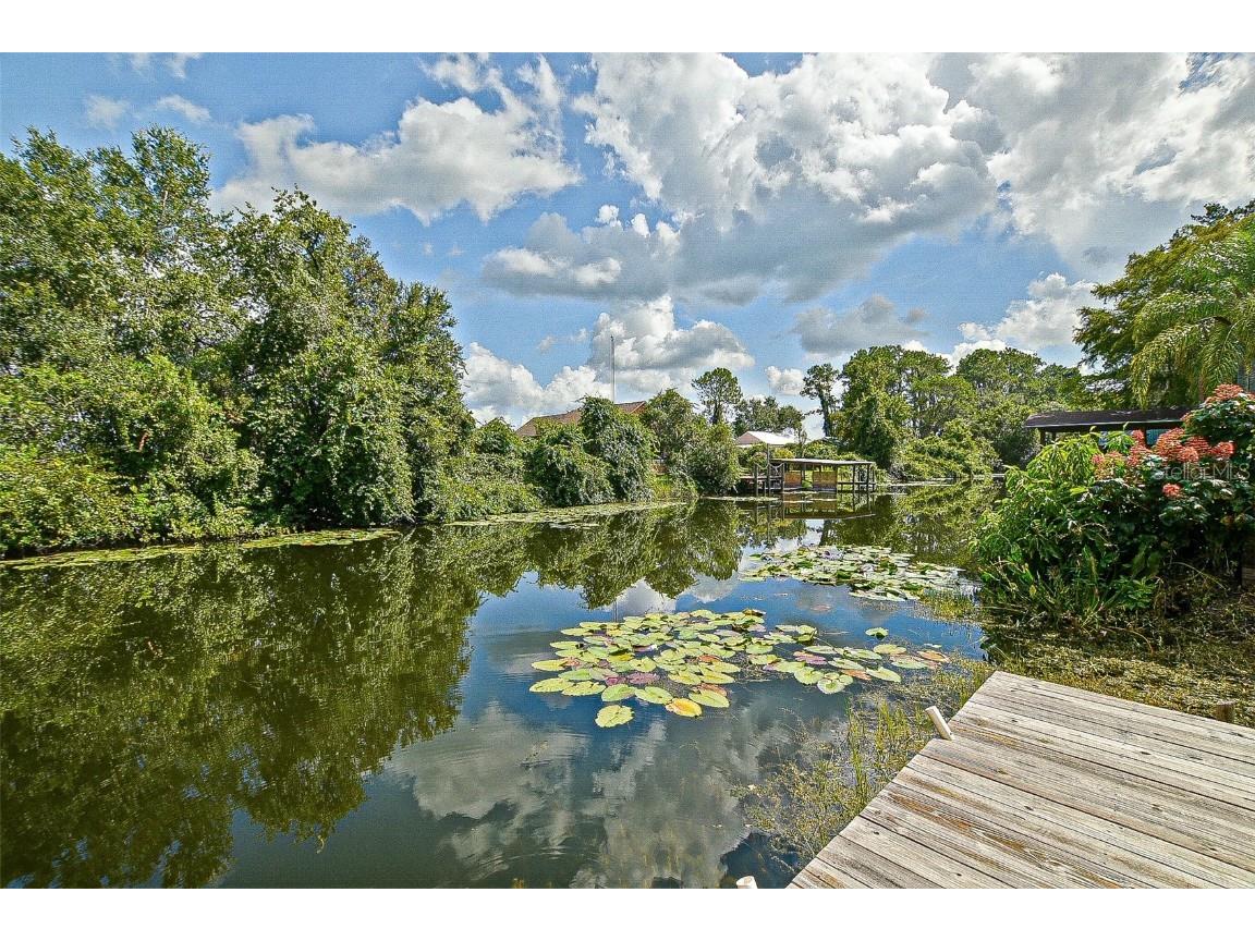 11611 SE 123rd Street Belleview FL 34420 - LAKE BOWERS OM706740 image1
