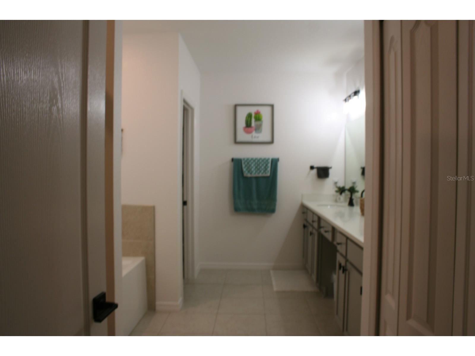 11612 Armada Way Parrish FL 34219 A4692971 image4