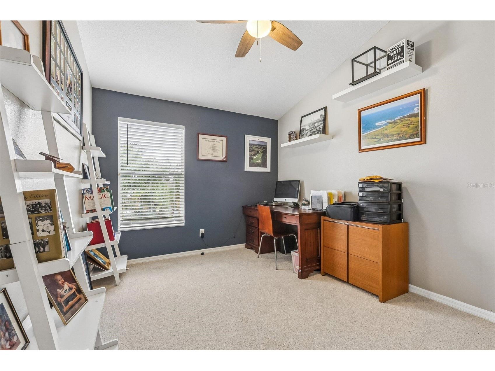 11612 Windsorton Way Tampa FL 33626 O6412187 image17